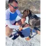 I-dog Khan Pad N´polar Hundskor