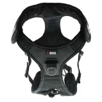 I-dog Raidlight Hundsele I-dog Raidlight Hundsele