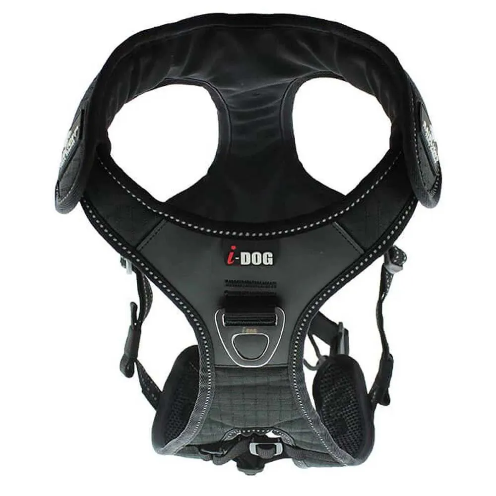 I-dog Raidlight Hundsele