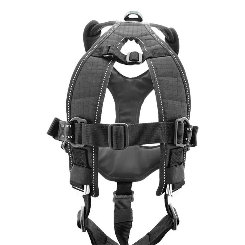 I-dog Raidlight Hundsele