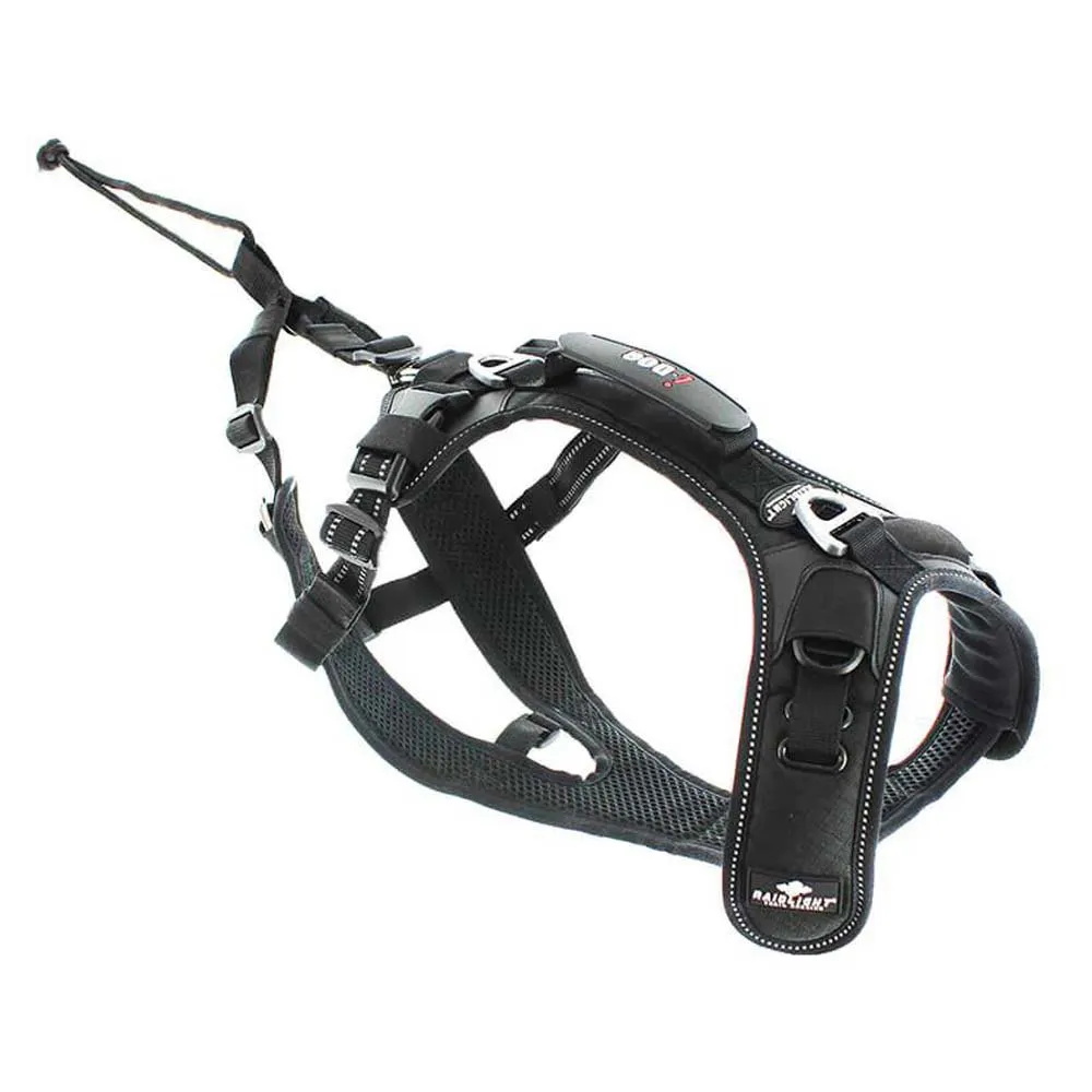 I-dog Raidlight Hundsele