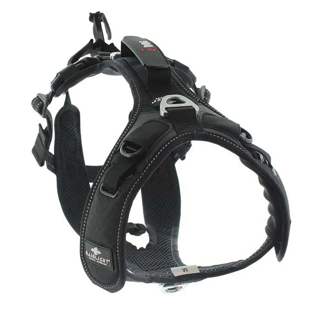 I-dog Raidlight Hundsele