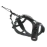 I-dog Raidlight Hundsele