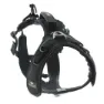 I-dog Raidlight Hundsele