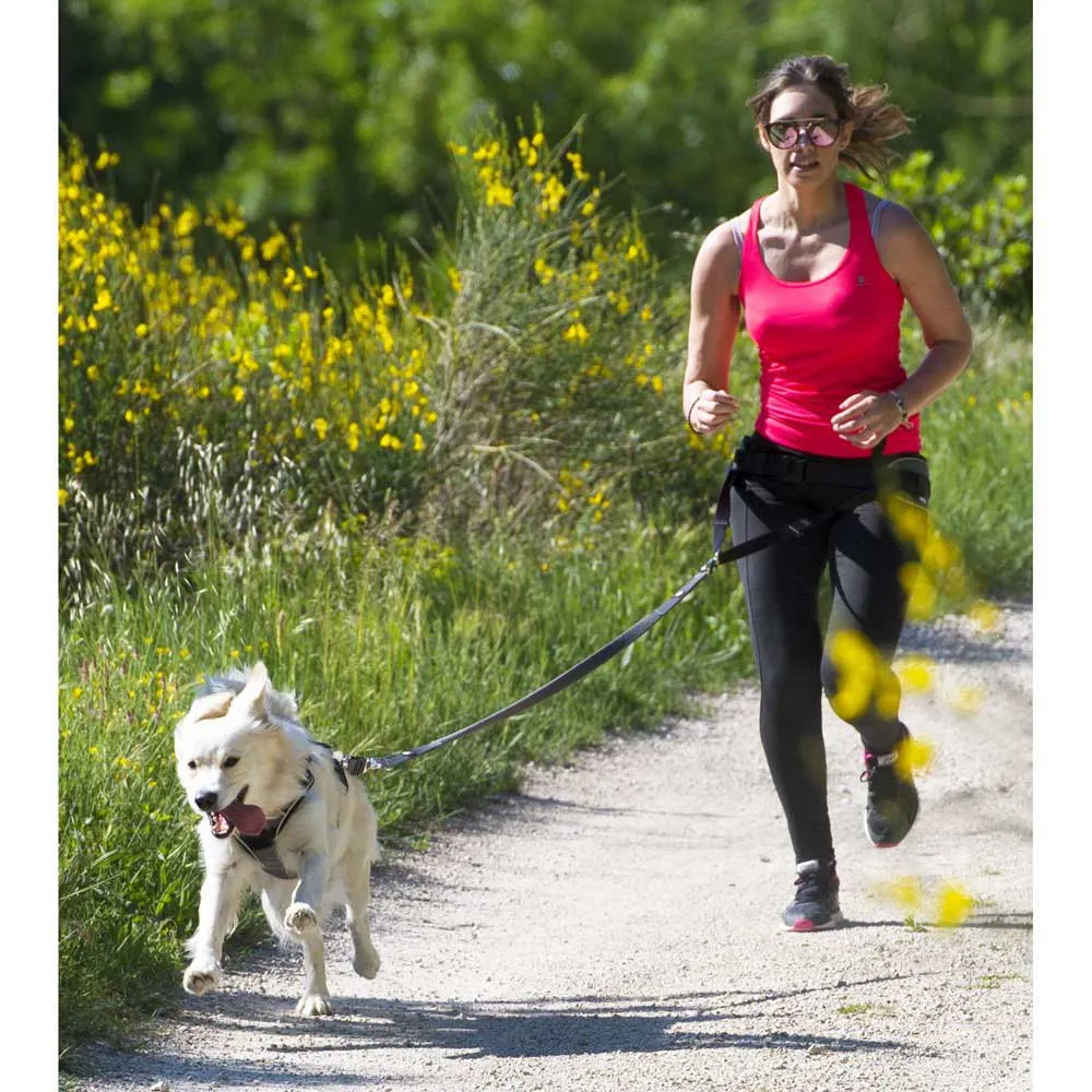 I-dog Style Hundsele