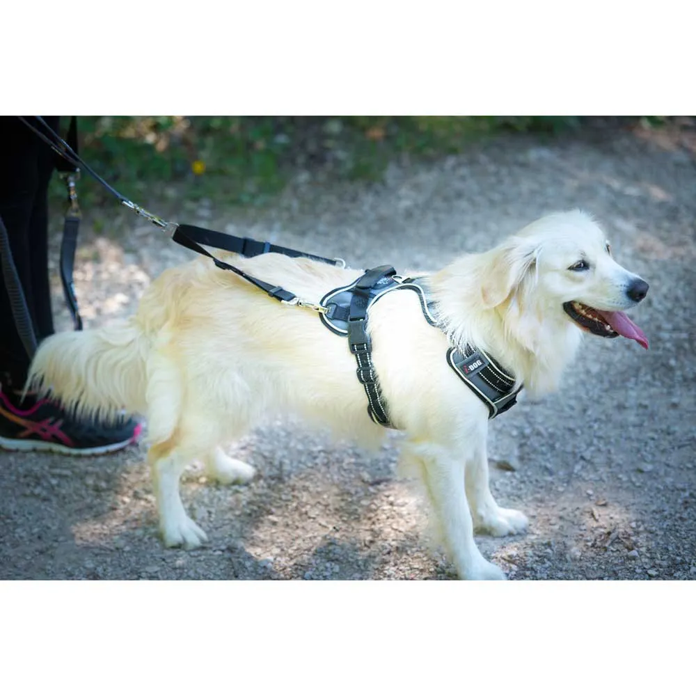 I-dog Style Hundsele