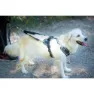 I-dog Style Hundsele