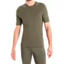 Loden