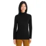 Icebreaker 260 Tech Turtleneck Långärmad Baslager