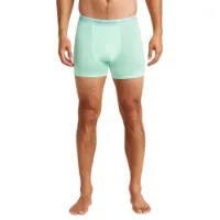 Icebreaker Anatomica Merino Boxers Icebreaker Anatomica Merino Boxers