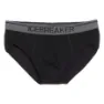 Icebreaker Anatomica Merino Slips