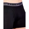 Icebreaker Anatomica S Fly Boxers