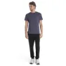Icebreaker Core Merino T-shirt Med Korta ärmar