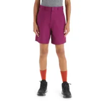 Icebreaker Hike Shorts Icebreaker Hike Shorts