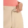Icebreaker Hike Shorts