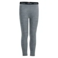 Icebreaker Men's 200 Oasis Leggings Icebreaker Men's 200 Oasis Leggings