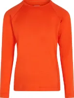 Icebreaker Men's 200 Oasis Long Sleeve Crewe