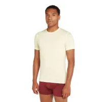 Icebreaker Men's Anatomica Shortsleeve Crewe