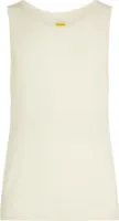 Icebreaker Men's Anatomica Tank Icebreaker Men's Anatomica Tank