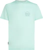 Icebreaker Men's Merino 125 Cool-Lite Sphere Shortsleeve Tee Icebreaker Men's Merino 125 Cool-Lite Sphere Shortsleeve Tee