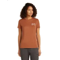 Icebreaker Men's Merino 150 Tech Lite Shortsleeve Tee