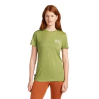Icebreaker Men's Merino 150 Tech Lite Shortsleeve Tee