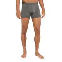 Icebreaker Merino 125 Cool-lite Anatomica Boxers