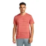 Icebreaker Merino 125 Cool Lite Drayden Stripe T-shirt Med Korta ärmar