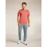 Icebreaker Merino 125 Cool Lite Drayden Stripe T-shirt Med Korta ärmar