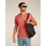 Icebreaker Merino 125 Cool Lite Drayden Stripe T-shirt Med Korta ärmar