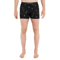 Icebreaker Merino 150 Anatomica Ski Day Boxers Icebreaker Merino 150 Anatomica Ski Day Boxers