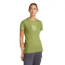 Icebreaker Merino 150 Tech Lite Fresh Fern T-shirt Med Korta ärmar