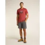 Icebreaker Merino 150 Tech Lite Hike Together T-shirt Med Korta ärmar, Jasper