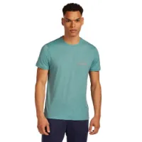 Icebreaker Merino 150 Tech Lite Ib Wordmark T-shirt Med Korta ärmar