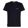 Icebreaker Merino 150 Tech Lite Ib Wordmark T-shirt Med Korta ärmar