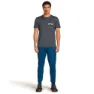 Icebreaker Merino 150 Tech Lite Infographic T-shirt Med Korta ärmar