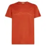 Icebreaker Merino 150 Tech Lite Mountain Pulse T-shirt Med Korta ärmar