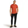 Icebreaker Merino 150 Tech Lite Mountain Pulse T-shirt Med Korta ärmar