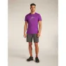 Icebreaker Merino 150 Tech Lite Rising Light T-shirt Med Korta ärmar