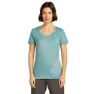 Icebreaker Merino 150 Tech Lite Scoop 30th Anniversary T-shirt Med Korta ärmar