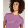 Icebreaker Merino 150 Tech Lite South Constellation T-shirt Med Korta ärmar