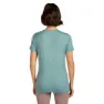 Icebreaker Merino 150 Tech Lite Terrain T-shirt Med Korta ärmar