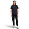 Icebreaker Merino 150 Tech Lite The Peaks T-shirt Med Korta ärmar