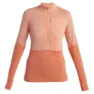 Icebreaker Merino 200 Realfleece Descender Fleece Med Halv Dragkedja