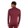 Icebreaker Merino 260 Tech Turtleneck Långärmad Baslager