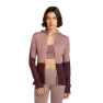 Icebreaker Merino Blend 200 Realfleece™ Descender Sweatshirt Med Dragkedja female, Summit / java / acid pink / cb