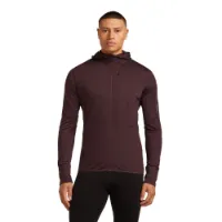 Icebreaker Merino Blend 200 Realfleece™ Descender Sweatshirt Med Dragkedja male