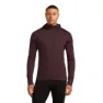 Icebreaker Merino Blend 200 Realfleece™ Descender Sweatshirt Med Dragkedja male