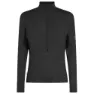 Icebreaker Merino Blend 200 Realfleece™ Descender Tröja Med Halv Dragkedja male