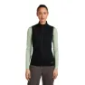 Icebreaker Merino Blend 300 Realfleece™ Descender Väst